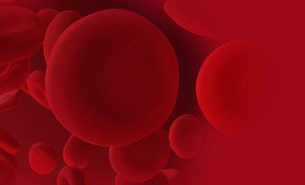 Rendering; rote Blutzellen